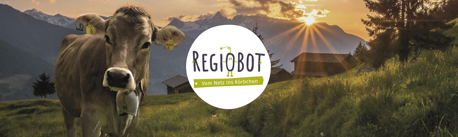 Regiobot Titelbild